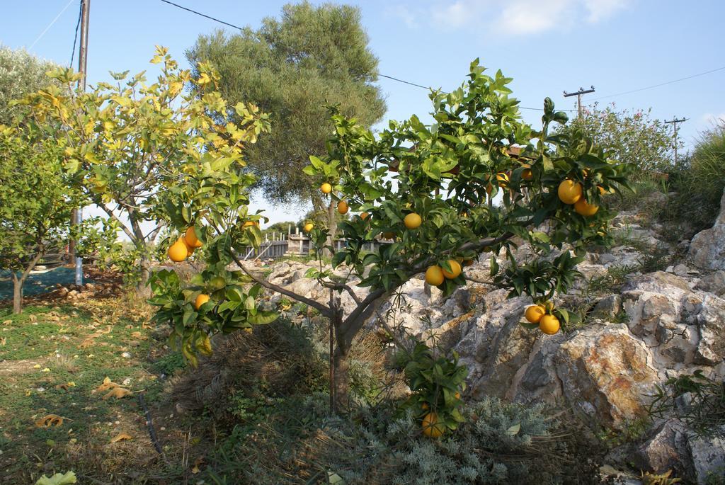 Villa O Ioannis Kritinía Esterno foto