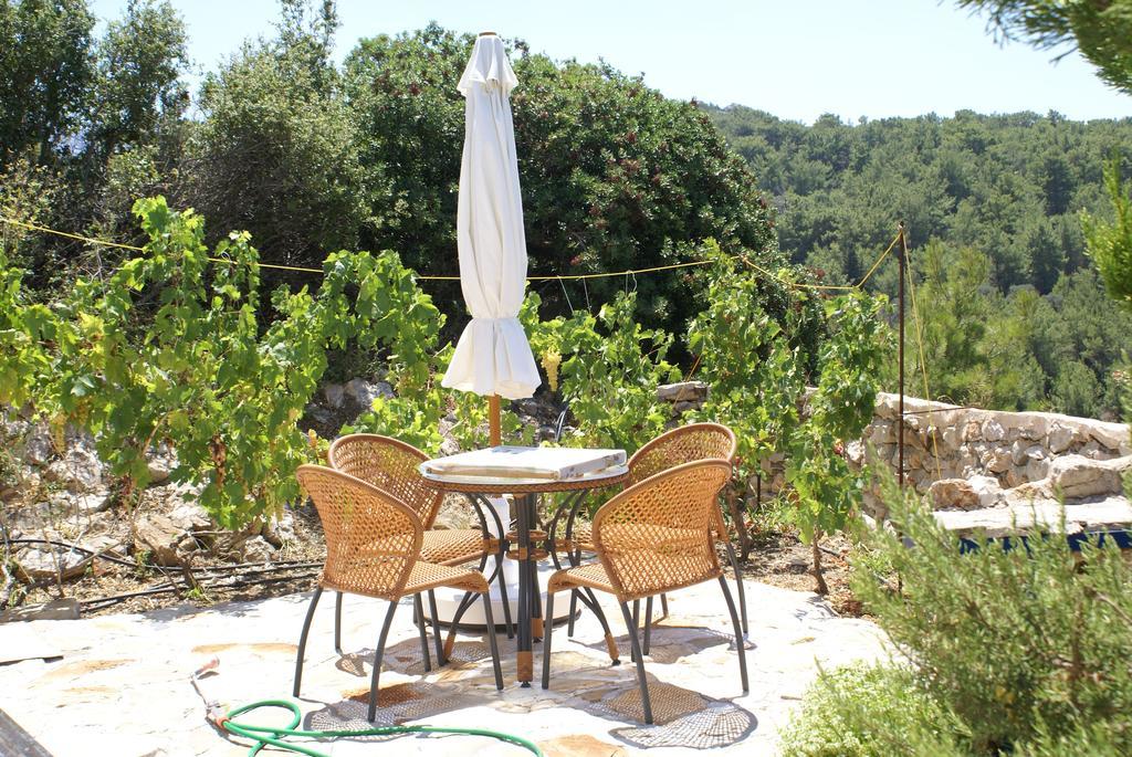 Villa O Ioannis Kritinía Esterno foto