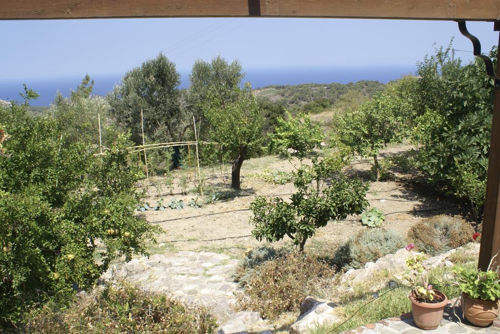 Villa O Ioannis Kritinía Esterno foto